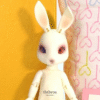 Piposland / Rooney Diary