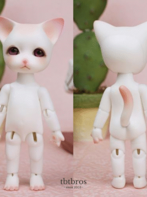 Piposland / Ringo Basic 1