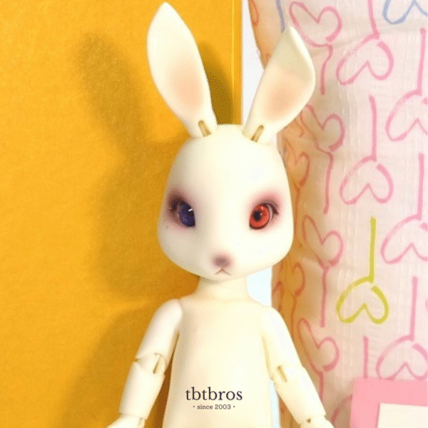 Piposland / Rooney Diary
