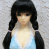 Wig / 5.5 inch / Twin braids (Black #2)