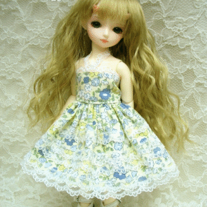 Wig / 5 inch / Long Wave (Lightgoldbrown #25)