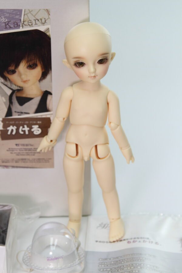 Volks / Yosd / Kakeru