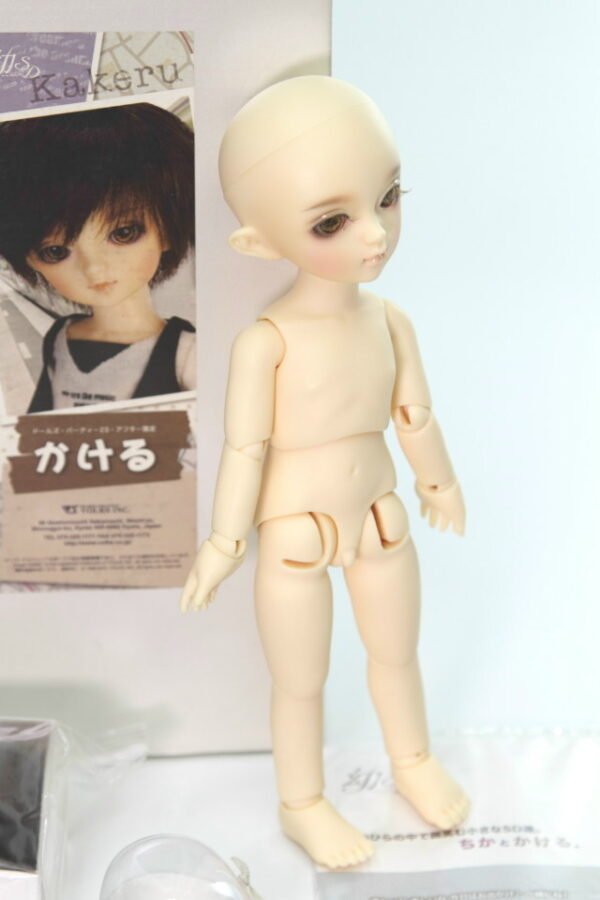 Volks / Yosd / Kakeru