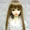 Wig / 6-7 inch / Long Straight (Brownmix #12/KB88M)