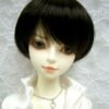 Wig / 6-7 inch / Short Bob (Black #2)