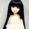 Wig / 6-7 inch / Princess Cut Long (Black #2)