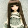 Wig / 6-7 inch / Princess Cut Long (Chocobrown #12)