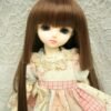 Wig / 6 inch / Princess-cut Long (Chocobrown #12)