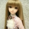 Wig / 6 inch / Princess-cut Long (Lightgoldbrown #25)