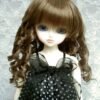 Wig / 6-7 inch / Curly Hair (Chocobrown #12)