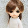 Wig / 5.5 inch / Layer Short (Chocobrown #12)