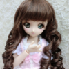 Wig / 8-9 inch / Medium Curls (Darkbrownmix #2/28M)