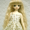 Wig / 7-8 inch / Long Wave (Lightgoldmix #GL26)