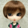 Wig / 8-9 inch / Short Bob (Chocobrown #12)