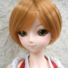 Wig / 8-9 inch / Short Bob (Goldbrown #144)