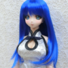 Wig / 8 inch / Medium Long Hair (Monaco Blue #K6)