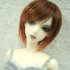 Wig / 8 inch / Short (Rustmix #4/145TT)