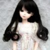 Wig / 7-8 inch / Long Hair Curly (Black #2)