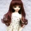 Wig / 7-8 inch / Long Hair Curly (Burgundymix #2/BU)
