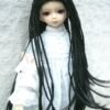 Wig / 7-8 inch / Braided Hair (Black #2)