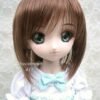 Wig / 8-9 inch / Short (Chocobrown #12)