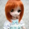 Wig / 8-9 inch / Short (Rust #145T)