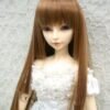Wig / 8-9 inch / Princess-cut Long (Brown #27)