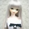 Wig / 8-9 inch / Princess-cut Long (Grey #60)
