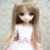Wig / 8-9 inch / Long Chopper (Brownmix #27/613M)