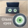 Glass eyes (Glib #G16L)