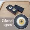 Glass eyes (Glib #G16P)