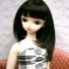 Wig / 9-10 inch / Semi-long Layer (Black #2)