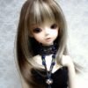 Wig / 9-10 inch / Semi-long Layer (Darkbrown-ivorymix #8/613HL)