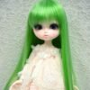 Wig / 11-12 inch / Super Long Straight (Lightgreen #K19/K4M)