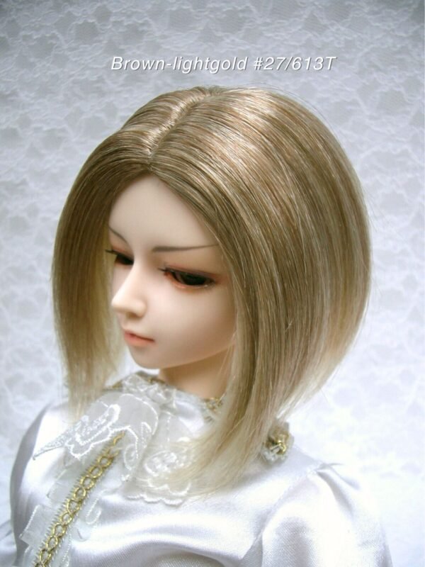 Wig / 9-10 inch / One-length Medium *Longer on Front Side (Brown-lightgold #27/613T)
