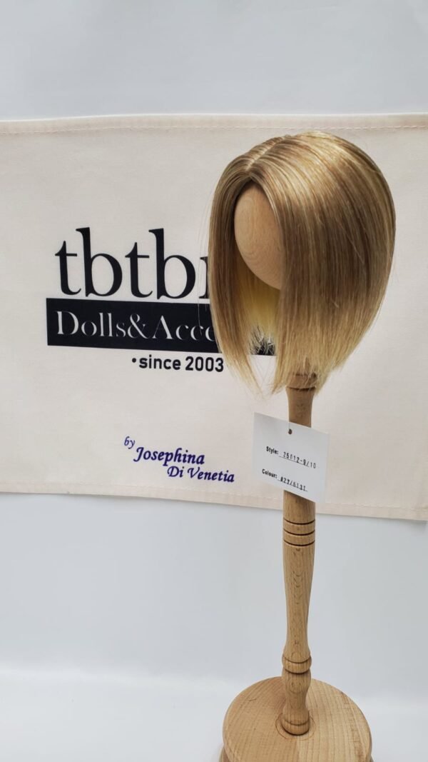 Wig / 9-10 inch / One-length Medium *Longer on Front Side (Brown-lightgold #27/613T)