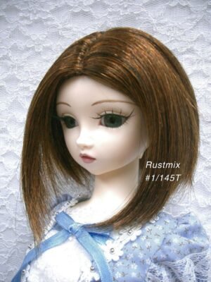 Wig / 9-10 inch / One-length Medium *Longer on Front Side (Rustmix #1/145T)