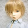 Wig / 9-10 inch / Short (Lightgoldmix #GL26)