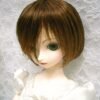 Wig / 9-10 inch / Short (Rustmix #4/145T)