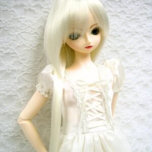 Wig / 9-10 inch / Long Shaggy (White #K19)