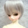 Wig / 9-10 inch / Short with a tail  (Grey #60)