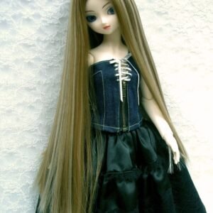 Wig / 9-10 inch / One-length Straight *38cm (Brown-lightgold #27/613HL)