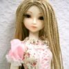 Wig / 9-10 inch / Braided Hair (Lightgoldmix #GL26)