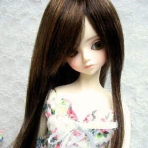 Wig / 9-10 inch / Long Gradation Layer (Rustmix #2/145T/2HL)