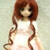 Wig / 8-9 inch / Short with Loose Curly (Maroon #350)