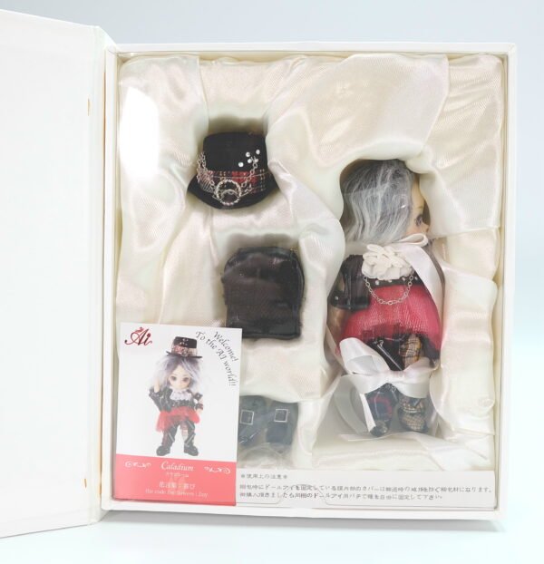 Groove / Ai doll / Caladium #A-711