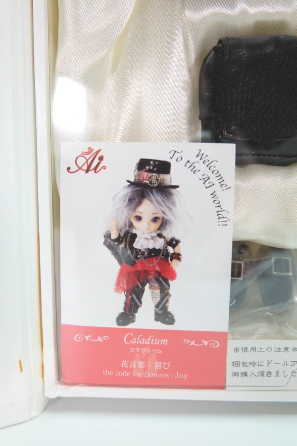 Groove / Ai doll / Caladium #A-711