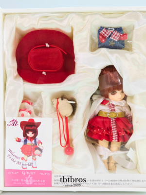 Groove / Ai doll / Ginger #A-702