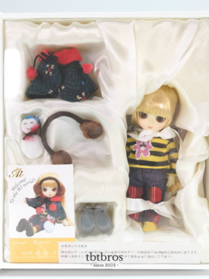 Groove / Ai doll / Karin #A-706