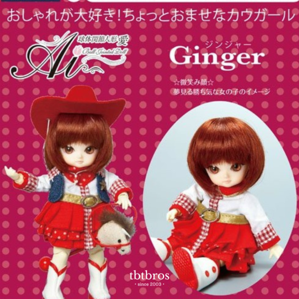 Groove / Ai doll / Ginger #A-702